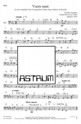 Vsem nam [Bas kitara]