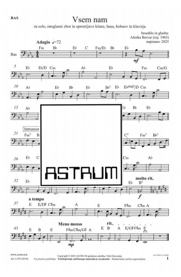 Vsem nam [Bas kitara]