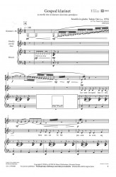 Gospod klarinet (št. 3 iz: "Pisani svet orkestra")