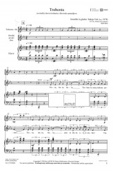 Trobenta (št. 4 iz: "Pisani svet orkestra")