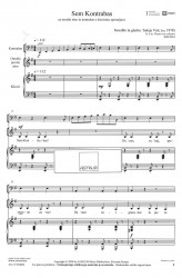 Sem Kontrabas (št. 6 iz: "Pisani svet orkestra")