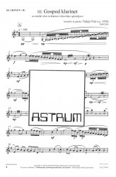 PISANI SVET ORKESTRA (Instrumentalni part)