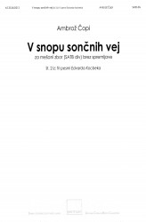V snopu sončnih vej - SSAATTBB