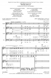 Srečal sem jo - SATBdiv