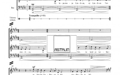 NOVO: BEC Tine prir.: LINČICA TURKINČICA za mešani zbor (SATBdiv) in telesna tolkala, 2018
